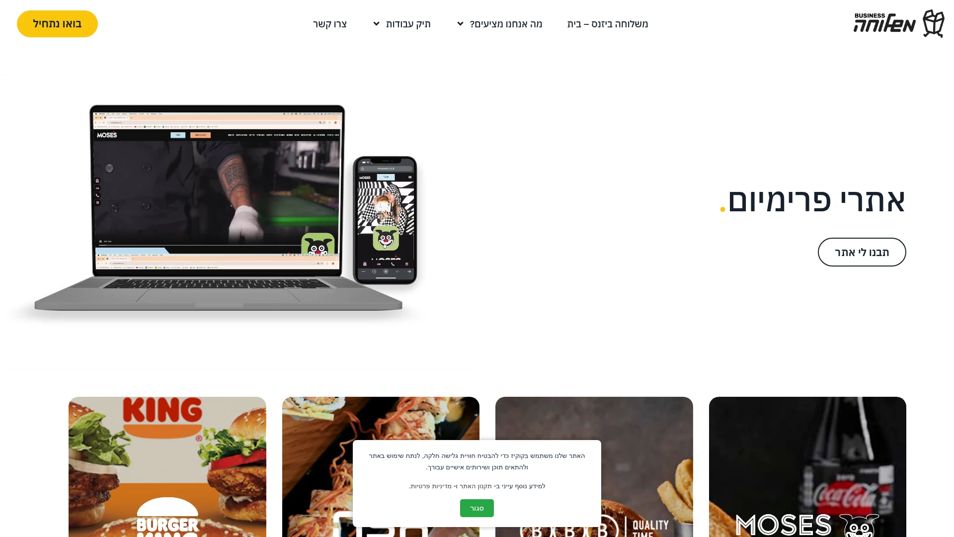 Mishloha Premium Websites live website